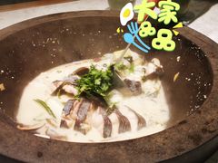 青椒紫苏锅-鲜潭蒸汽石锅鱼(五道口购物中心店)