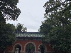 -灵谷景区