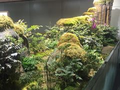 -福州长乐国际机场
