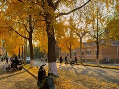 -四川大学(望江校区)
