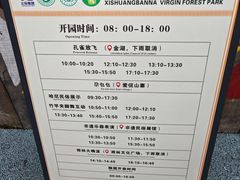 -西双版纳原始森林公园