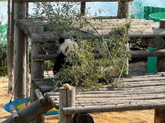 -西霞口神雕山野生动物世界