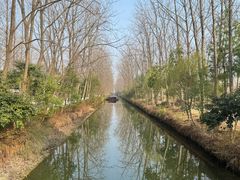 -合肥滨湖国家森林公园