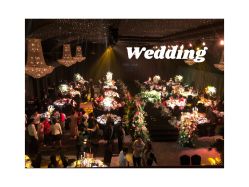 -格乐利雅婚礼艺术中心(南外滩店)