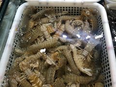-顺鑫石门市场