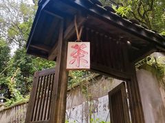 -南山植物园