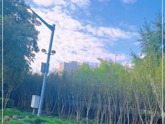 -芳华路(地铁站)