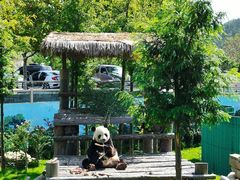 -西霞口神雕山野生动物世界