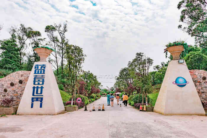 交通藍莓莊園在九龍坡金鳳鎮周圍好像沒有公交車最好是開車前往特色