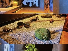 -双海潮·海鲜融合菜(如是海店)