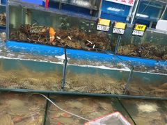 -岳各庄批发市场(西四环中路店)