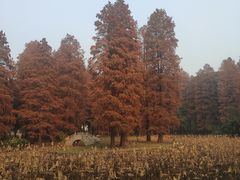 -东湖磨山景区
