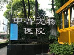 -申普宠物医院·心脏介入·心血管微创(总院)