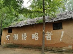 -微山湖红荷湿地景区