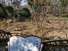-秋霞圃
