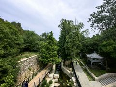 -白水寺森林公园