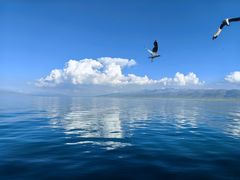 -青海湖国家重点风景名胜区