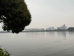 -鹤之洲湿地公园
