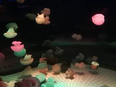景点-正佳极地海洋世界