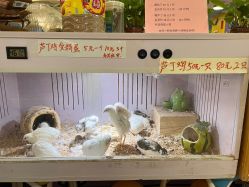 -汇乐童儿童主题乐园(李老社区商业中心店)