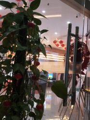 -南宁维密整形·王敦华眼鼻整复中心