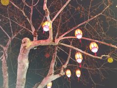 -上街里市集(悦喜客来广场店)