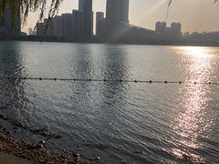 -天鹅湖体育公园