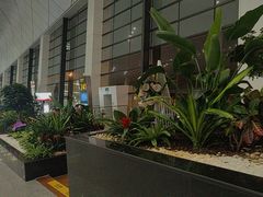 -郑州新郑国际机场