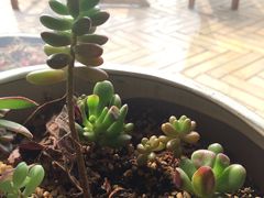 -一米阳光咖啡店(百通尚风尚水店)