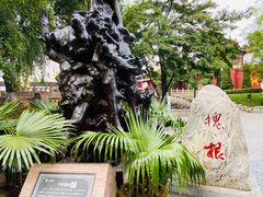 -大槐树寻根祭祖园