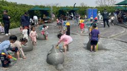 -季高兔窝窝亲子园(上海薰衣草公园店)