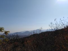 -北京鹫峰国家森林公园