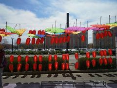 -杉杉奥特莱斯广场(哈尔滨店)
