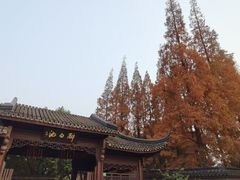 -上海醉白池公园