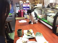 -樱の花亭日本料理店