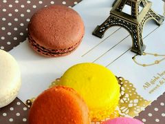 -极致味道动物奶油生日蛋糕(时尚店)