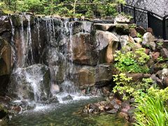 -天悠五樓餐廳