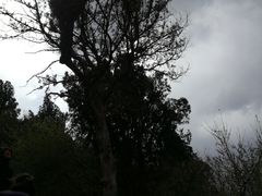 -青州市云门山风景区