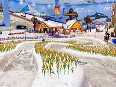 -广州热雪奇迹