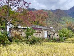 -塔川景区