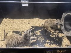 -太平洋海底世界