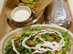 -油梨树 AVOCADO TREE(亮马桥店)