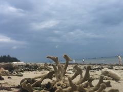-贝壳沙滩