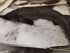 -紫丁香饭店-中餐厅