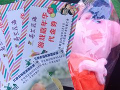 -荷兰花海
