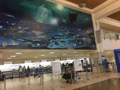 -关岛国际机场|安东尼奥·汪帕特国际机场