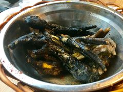 -老号尤兔头(幸福店)