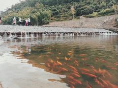 -严子陵钓台(富春江小三峡)