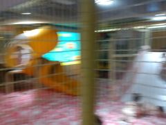 -海韵之星邮轮水会(明发商业广场店)