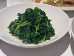 高山豆苗-南麓·浙里(外滩店)